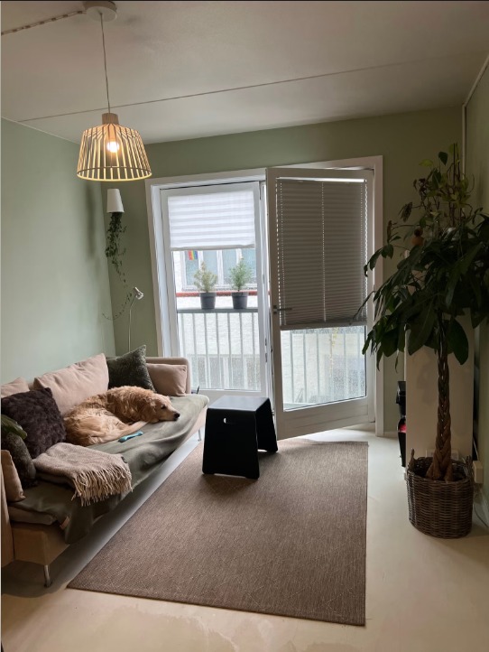 Stue, dør til fransk balkong kan åpnes helt. 